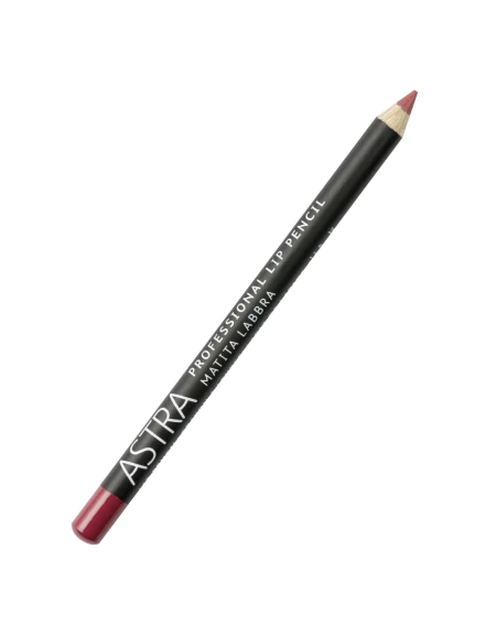 Astra Professional Lip Pencil - 46 Mauve Dimension